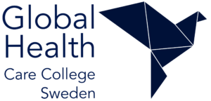 Global health care college